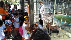 Projeto Mamiferos Aquaticos Escola Arco Iris