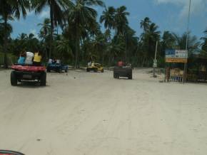 Final de Semana em Mangue Seco