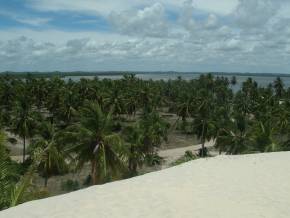 Final de Semana em Mangue Seco