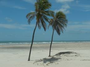 Final de Semana em Mangue Seco