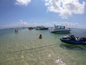 Ilha de Bom Jesus (novo destino)