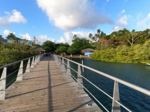 Ilha de Bom Jesus (novo destino)