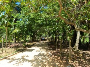 Ilha de Bom Jesus (novo destino)