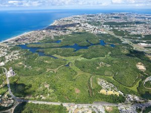 Vôo Panorâmico de Helicóptero em Salvador